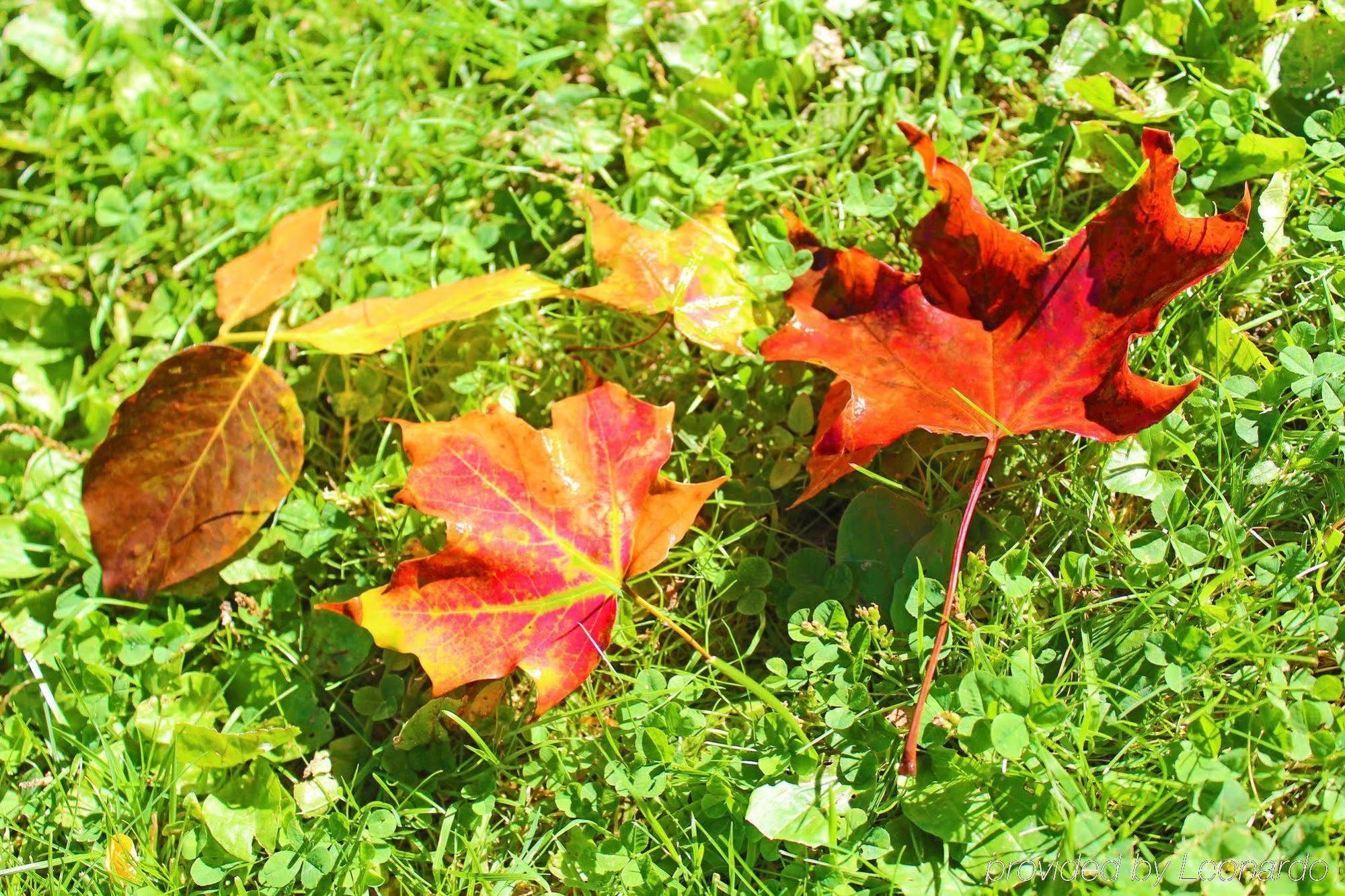 Heart Of The Village Bed & Breakfast In Shelburne Vt Extérieur photo